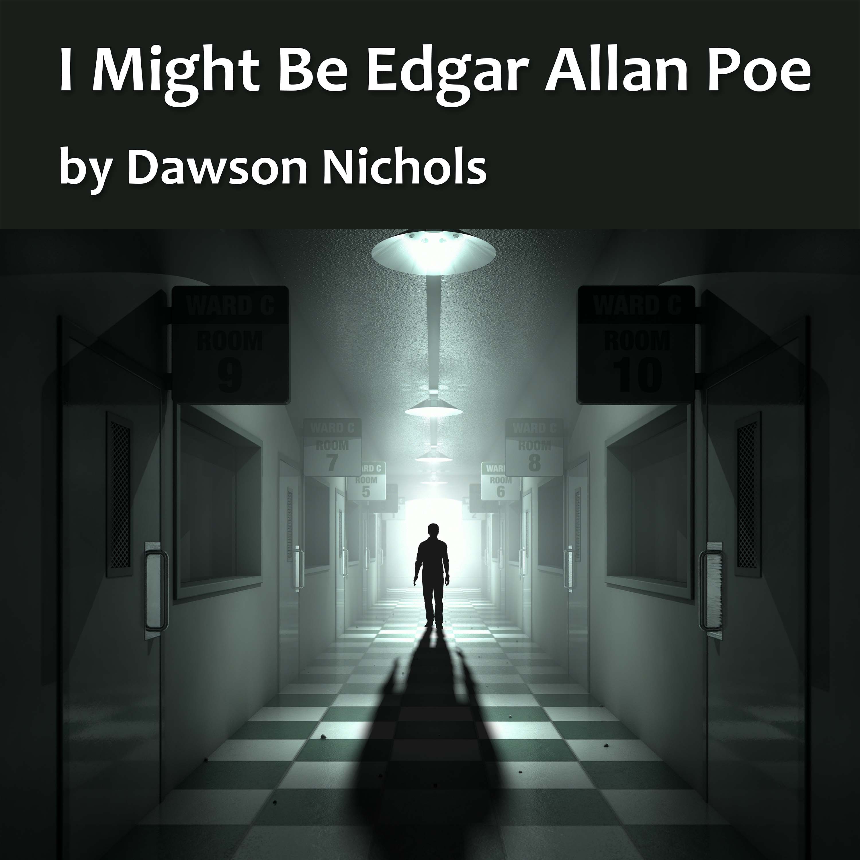 I Might Be Edgar Allan Poe