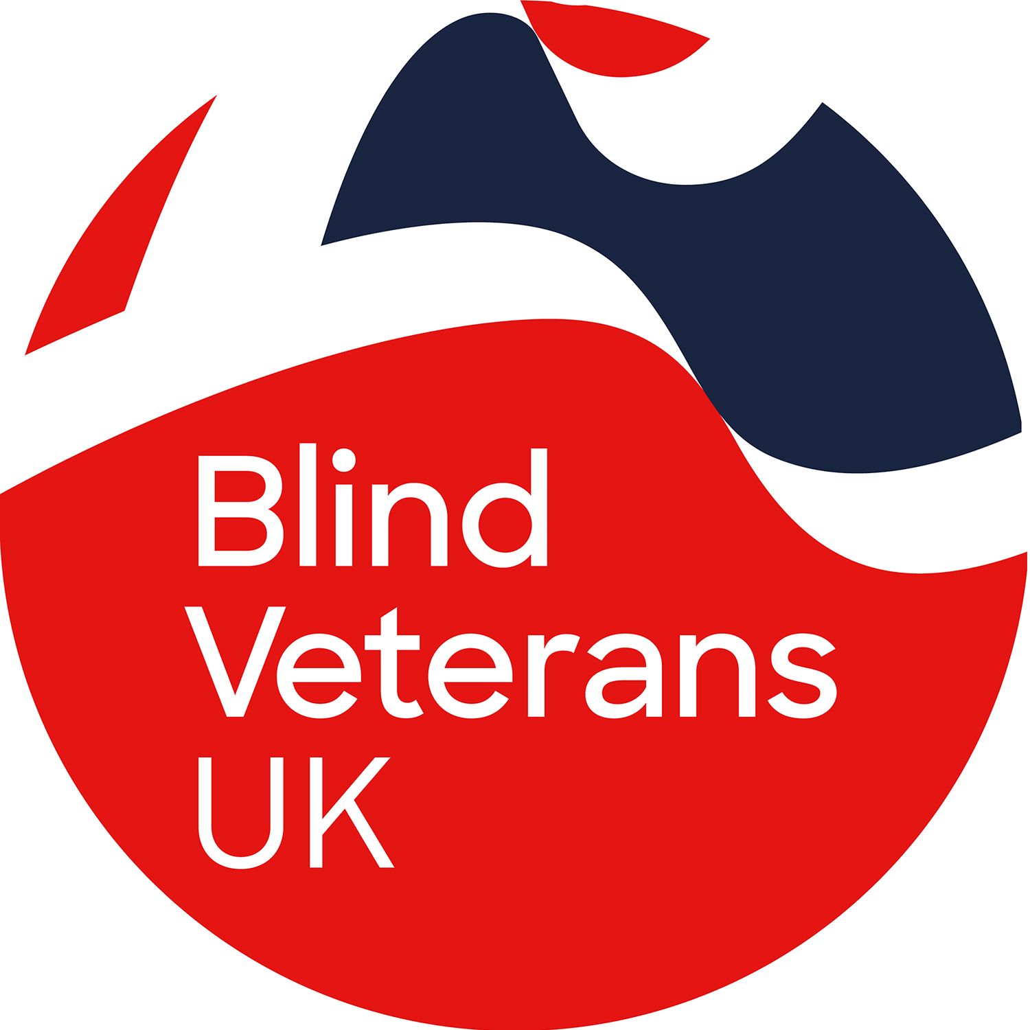 Blind Veterans UK Review - in chapters