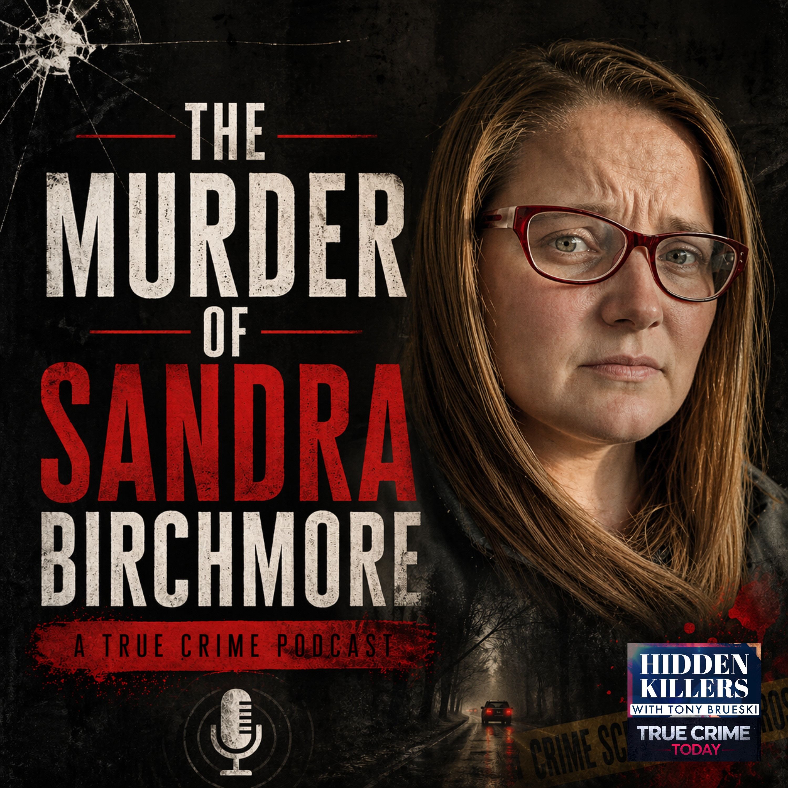 The Murder Of Sandra Birchmore