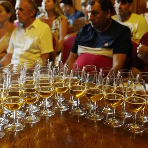 Óriási siker volt a Magyar Nemzeti Levéltár Országos Levéltára kóstolóprogramja