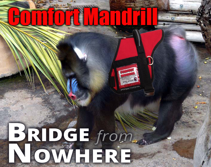 34 – Comfort Mandrill