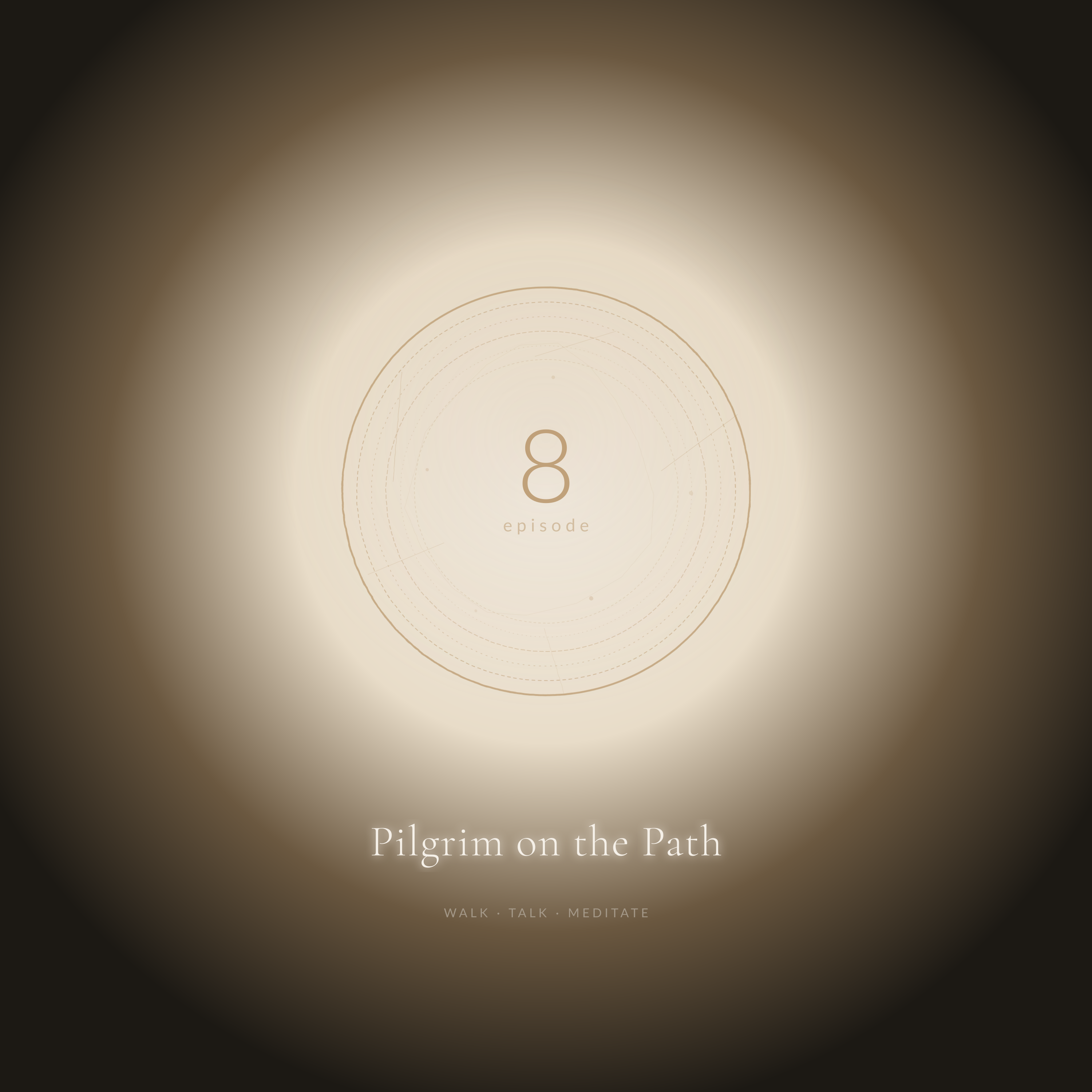 Episode 8: Pace Of Reunion