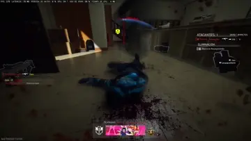 xd