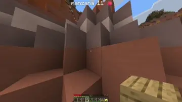 manzana 11
