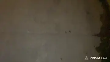 ghtt
