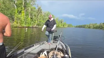 alligator encounter