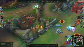 Ekko clinico