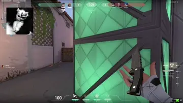 surprise
