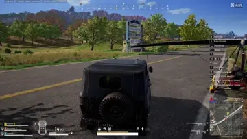 victim of the cars incidents