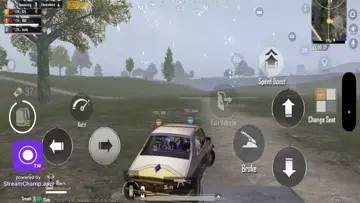scar L