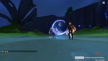...