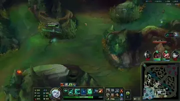 viegoo