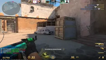 Toksa idiot :D Bika