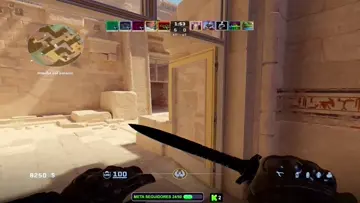 Ace anubis