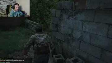 bug