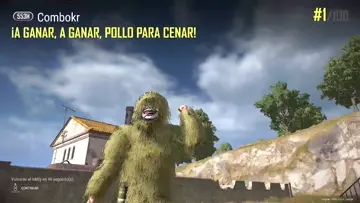 se logro otro pollito