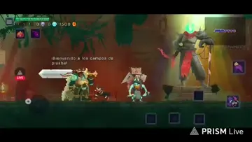 primer level