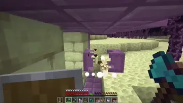 Shulker'dan Shulker Fedası