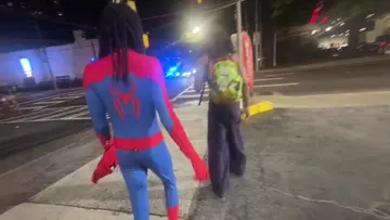 spiderman with fans 