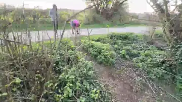 sully jump