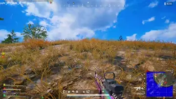 CHIKKEN DINNER