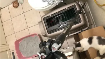 ##