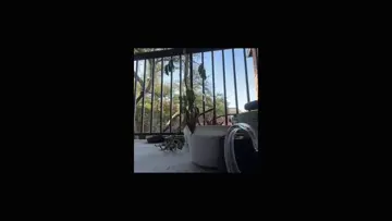 nature’s hold music