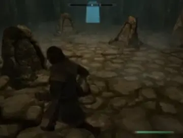 Skyrim no tiene errores 
