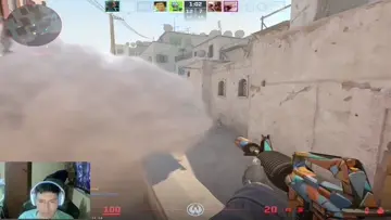ese smok tmre