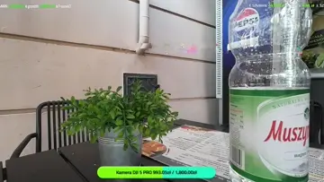 Streamsnajper xD