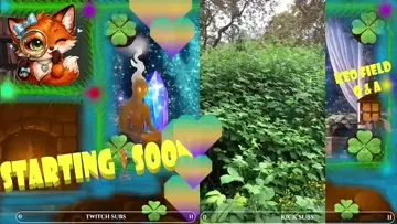 IRL garden