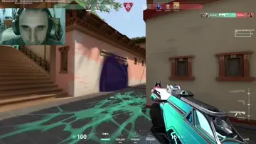 pobre gekko