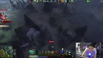 ASI SE HACE FINTAS Y SE HOKEA CON PUDGE RATONES