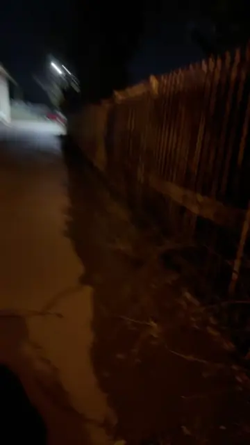 Hole in the fence