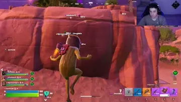 suicidee