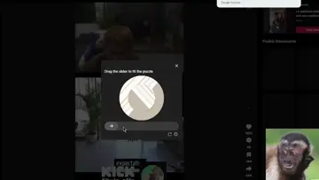 xd