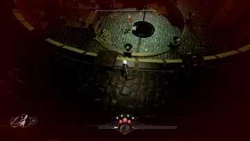 perfect foresight and yet did it anyway