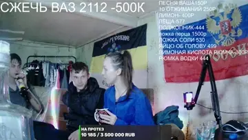 Квиты