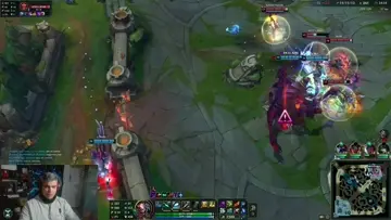 fin
