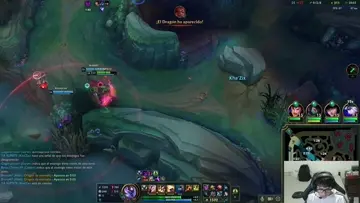 no hacen dmg?