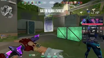 ace
