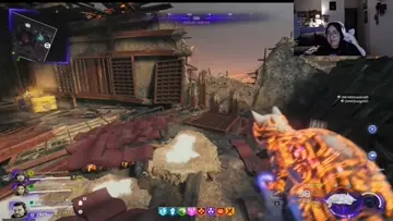 cat pack a punch