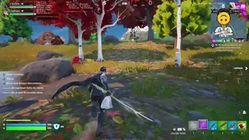 El ultra instinto (lag)