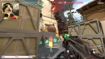 Mojj???