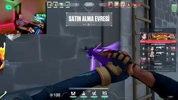 Ace