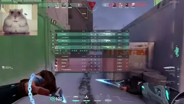 tııqq ammına