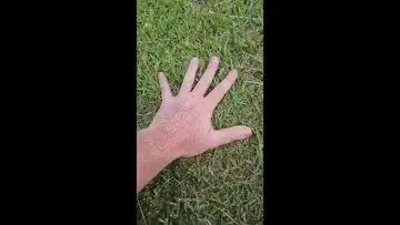 Touching Grass IRL Kick Bounties App Suggestion