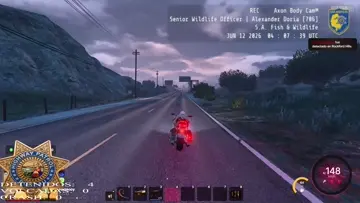motor bug