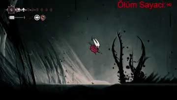 sonunda