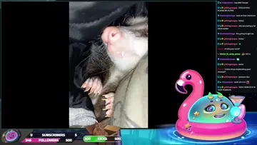 Jam w/Jelli - Drama News, Gaming, your requests...